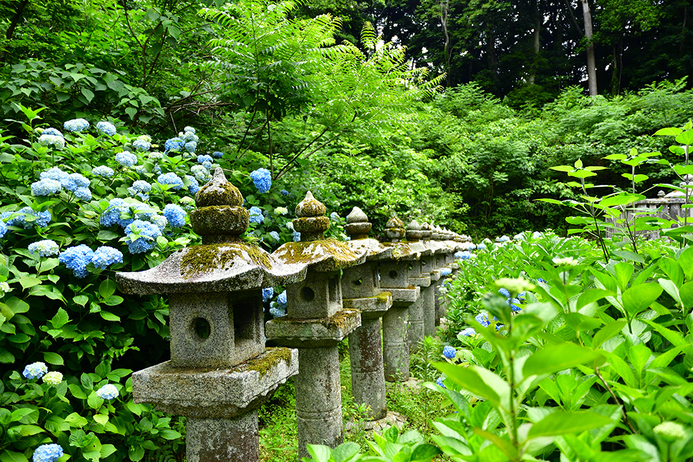 小泉八雲とセツが夫婦愛で紡いだ『怪談』の世界像